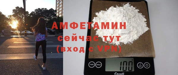 индика Вяземский
