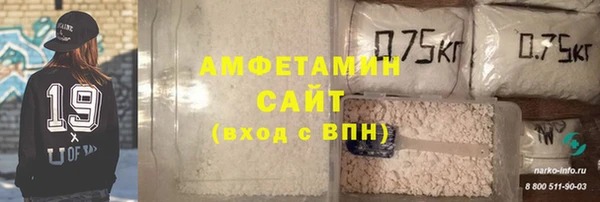 индика Вяземский