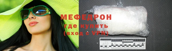 индика Вяземский
