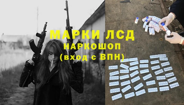 дживик Бородино