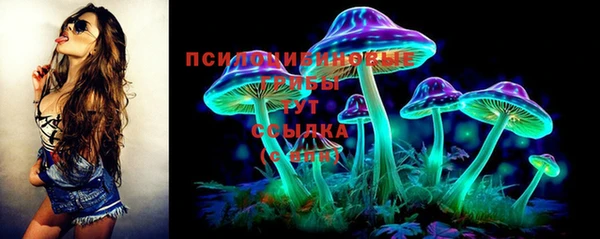 индика Вяземский
